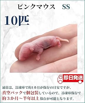 Amazon | ZAZOO 冷凍マウス ピンクマウスSS 10匹 1.0〜2.0 g 約